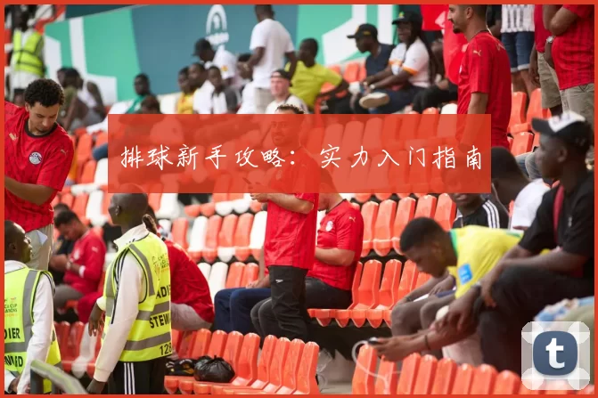 排球新手攻略：实力入门指南