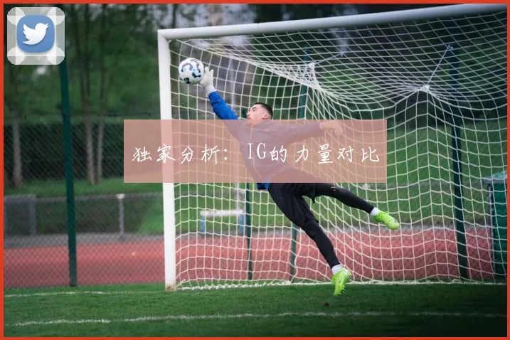 独家分析：IG的力量对比