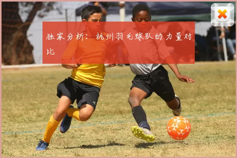 独家分析：杭州羽毛球队的力量对比