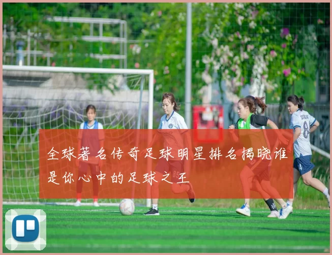 全球著名传奇足球明星排名揭晓谁是你心中的足球之王